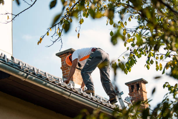 Quick and Trustworthy Emergency Roof Repair Services in Pocono Ranch Lands, PA